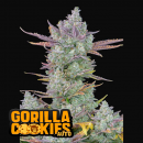 Gorilla Cookies Auto - FastBuds